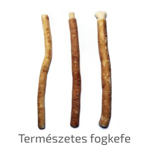 Siwak_Természetes fogkefe